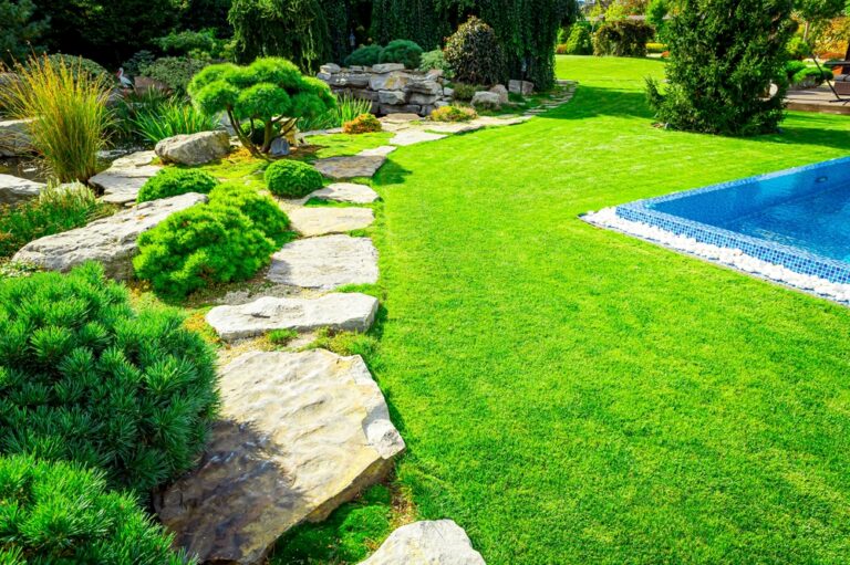 Transforming Your Outdoor Space The Art of Landscape Design Waterloo